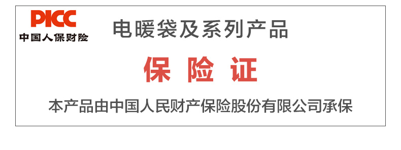 冬焱夏淼 热水袋充电注水电暖袋水电分离防爆暖手袋暖宝宝学生新款安全保暖充电热宝暖水宝 棕色