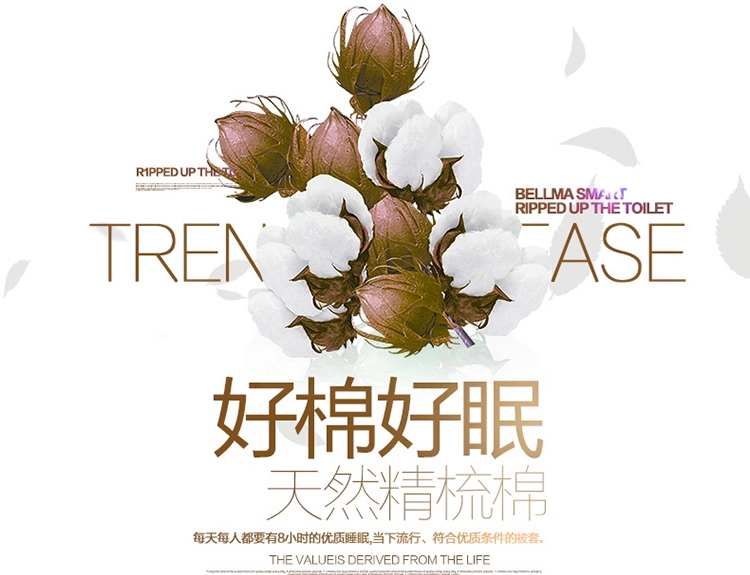 
                                                                                南极人被套单件纯棉斜纹印花被罩单人双人床上用品 塞纳青春 200*230cm(适合2*2.3米被子)                