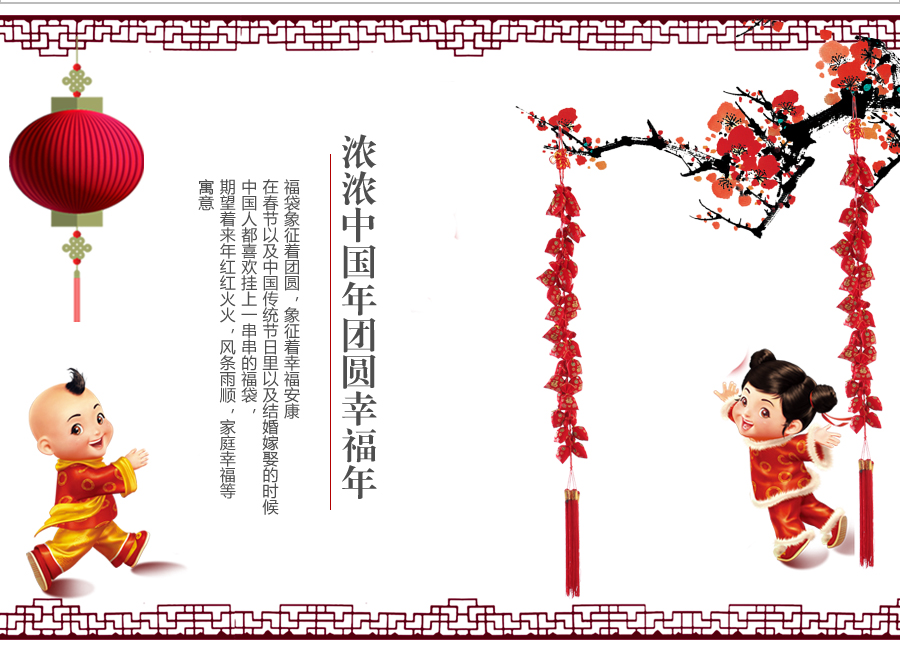 
                                        苏兹 2016绒布福字串挂件 新年新房节日装饰品挂饰 春节喜庆用品                