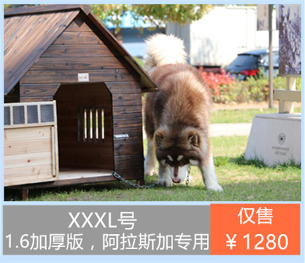 自然之风 宠物狗屋泰迪狗窝室外猫狗房子防雨