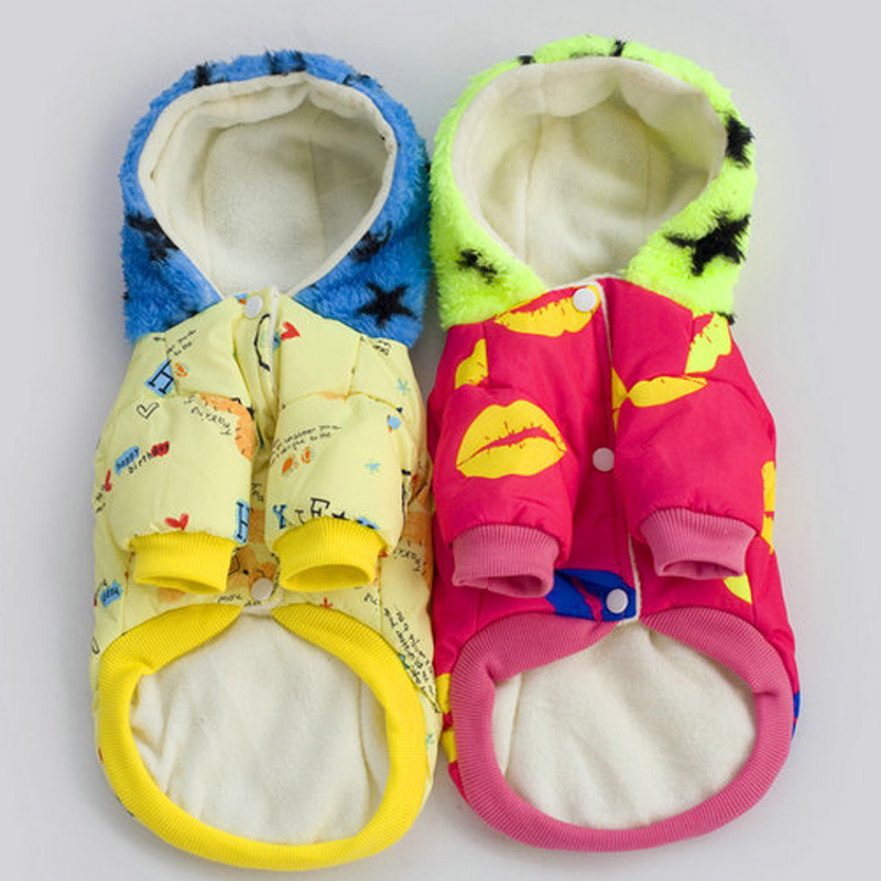 Pets allowed for autumn and winter clothing replacing dog clothes pet four corners trousers travel equipment apparel color random stars cap yellow Xiong S picture, prices, brand platters! The elections are supplied in the national character of distribution, so action, buy now enjoy more preferential! As soon as possible.