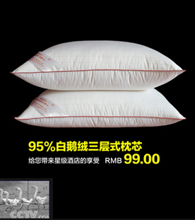 
                                        清沁 办公室抱枕 沙发抱枕芯 特价靠垫靠枕芯45 45 50 50 60 60 65 65 45cm*45cm                