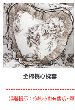 老婆坊（赠同款抱枕）全棉沙发垫防尘套罩盖巾双三人组合防滑纯棉沙发巾沙发罩 曾经 200X200单人位