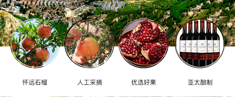 【怀远馆】石榴酒 安徽蚌埠特产 亚太92窖藏 金