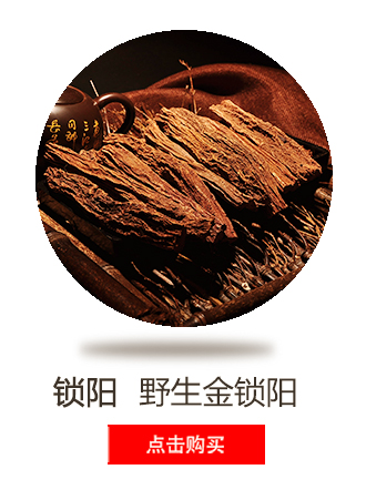 泡酒料 人参 鹿茸片 鹿鞭片 灵芝 玛卡 枸杞海马