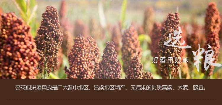 封坛15年汾酒53度 475ml_历史最低价格_就买