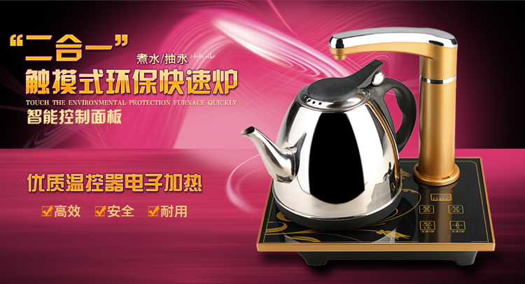荔江 电茶壶二合一茶具套装茶炉自动上水壶抽水器加水器电热水壶茶具上水器 土豪金 自动上水电热水壶