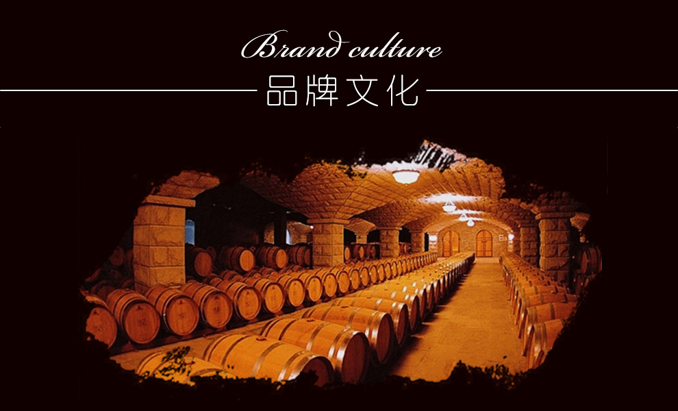 西班牙进口红酒 飞鱼梅洛(FIY Fish)干红葡萄酒