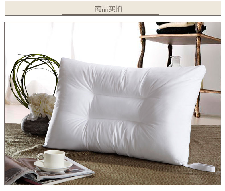 LENCIER兰叙 专为水洗设计 机洗快干 可水洗纤维枕头一对装 白色