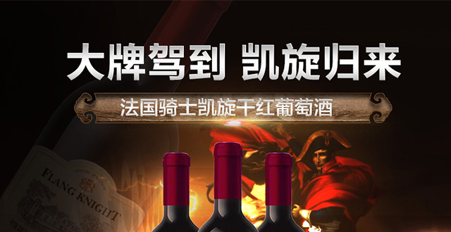 法国源汁进口红酒法兰骑士凯旋干红葡萄酒75
