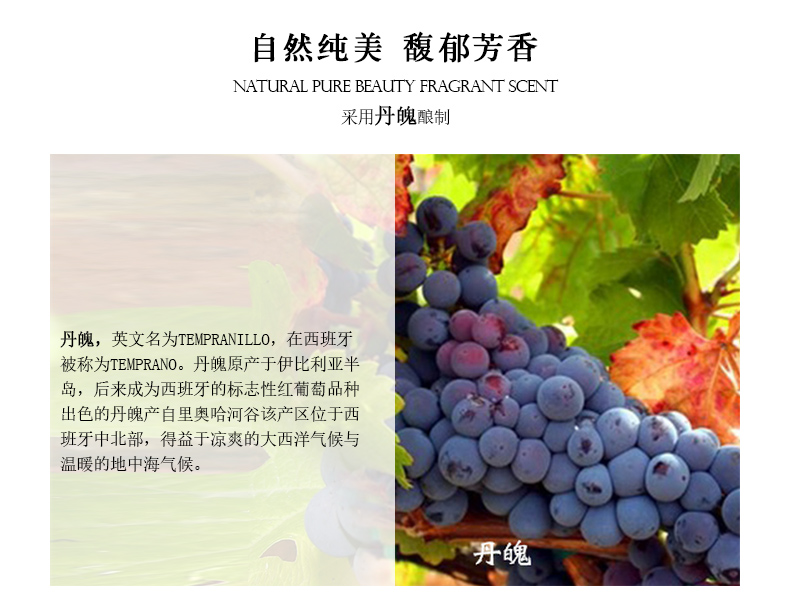 【清仓底价】西班牙原瓶原装进口红酒 葡萄酒