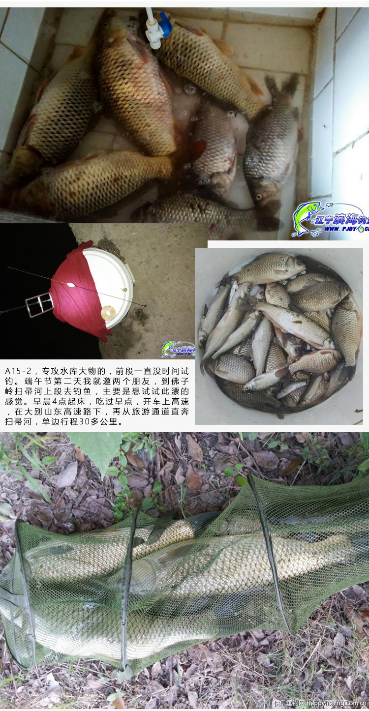 上禾c23 流氓漂超长浮漂 鱼漂正品 芦苇 芦苇浮漂正品