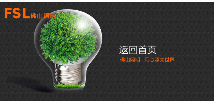
                                        佛山照明 fsl led灯泡球泡 节能灯具 3W e14小螺口球泡 10支装 暖白光(黄光)                