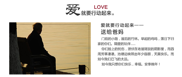 
                                        丝品乐晴彩 全棉夹棉床罩韩式蕾丝公主床裙 魅力蓝 非夹棉款床裙 120*200cm                