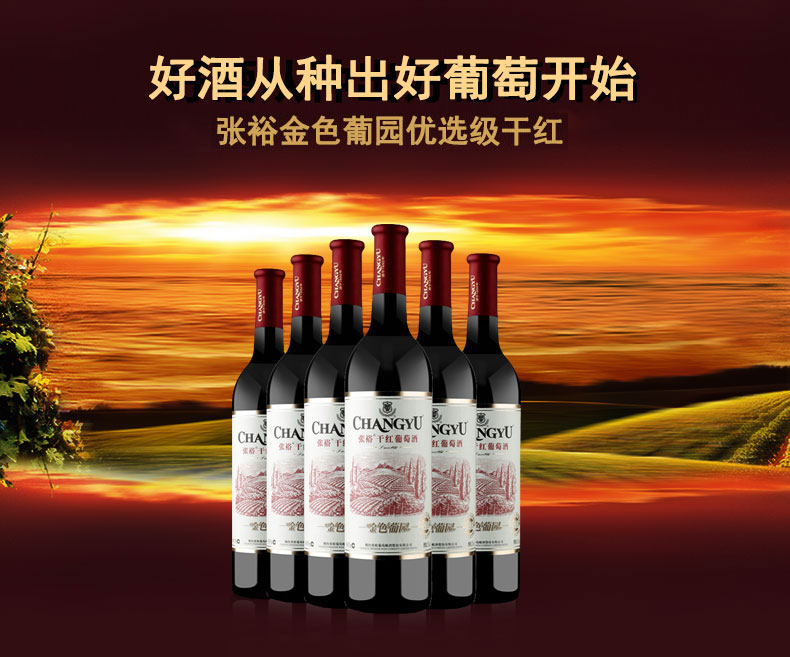 张裕金色葡园优选级赤霞珠干红葡萄酒12度750ml整箱6支装