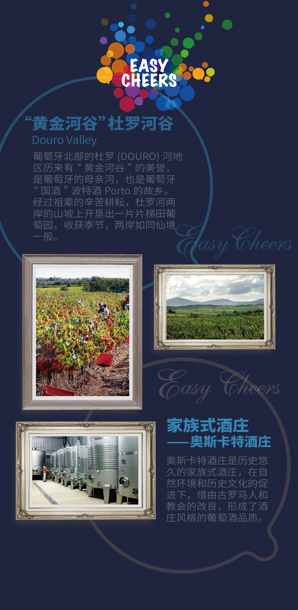 葡萄牙直采进口红酒 柏图干红葡萄酒 杜罗河谷