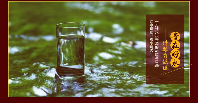 52度五粮液 股份出品 五粮PTVIP精制500ml*6