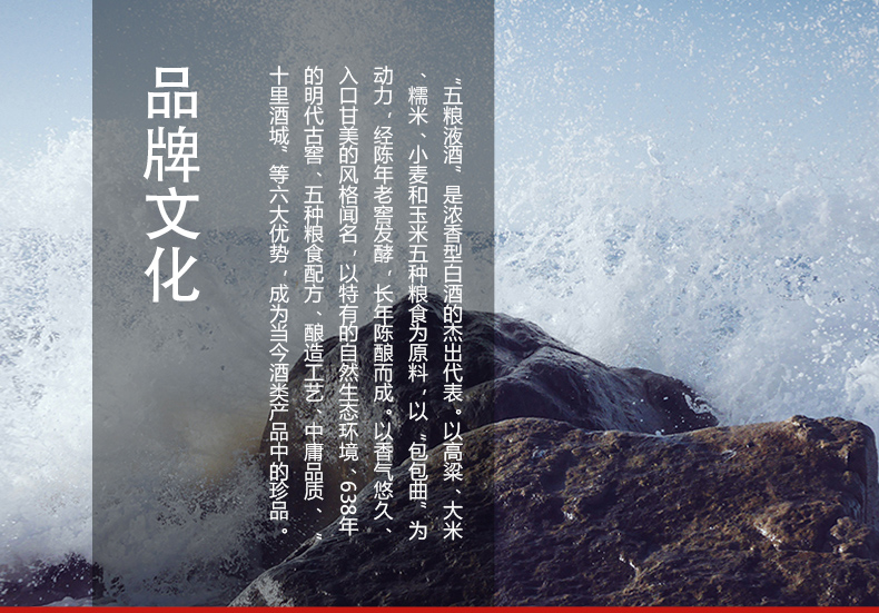 52度五粮液 股份出品 五粮PTVIP精制500ml*6