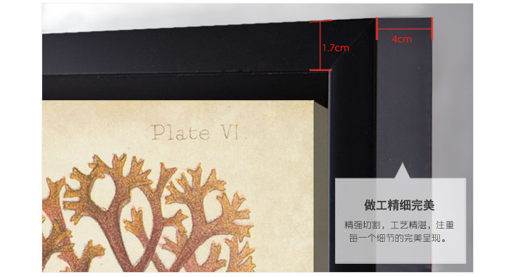 时黛 美式客厅装饰画有框 沙发背景墙画餐厅壁画玄关挂画卧室床头画 珊瑚海 SD088 6折 哑光棕色木纹A画芯75*105