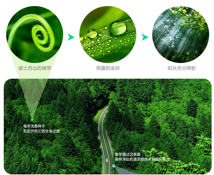 圣可尼 草席二/三件套 可折叠冰丝单人双人床 空调席1.5/1.8米夏季凉席 1.8m床三件套