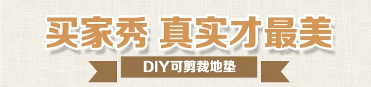 
                                        真彩 免洗可剪裁进门地垫塑料门垫入户进门垫家用丝圈防滑脚垫 玫红紫双色 40*60cm                