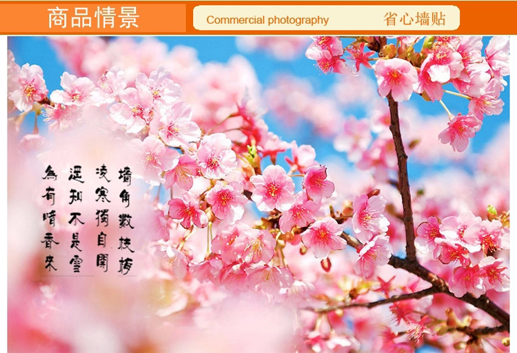 省心墙贴纸可移除家装装饰墙贴纸客厅浪漫卧室沙发电视背景自粘墙贴画幸福梅花