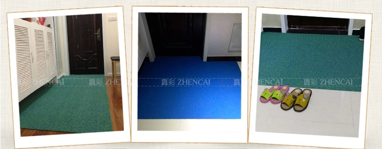 
                                        真彩 免洗可剪裁进门地垫塑料门垫入户进门垫家用丝圈防滑脚垫 玫红紫双色 40*60cm                