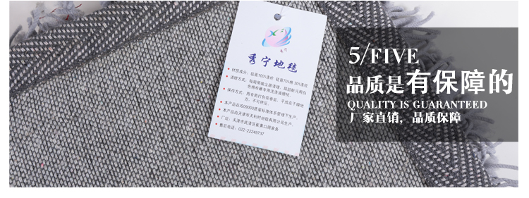 秀宁地毯茶几地毯客厅卧室床边毯满铺加厚地毯阳台飘窗地毯书房餐厅地毯X6-X 奶白色 0.7x1.4米
