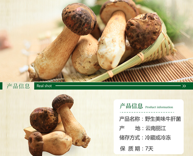 萌兴新鲜美味牛肝菌云南特产野生菌食用菌鲜菌类蔬菜蘑菇 1000g