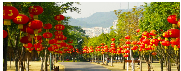 俊艺婚庆灯笼 结婚婚庆 喜庆 挂饰户外阳台广告发光大红布灯笼 龙凤喜灯笼  新年礼物 绒布龙凤100#+2电源线