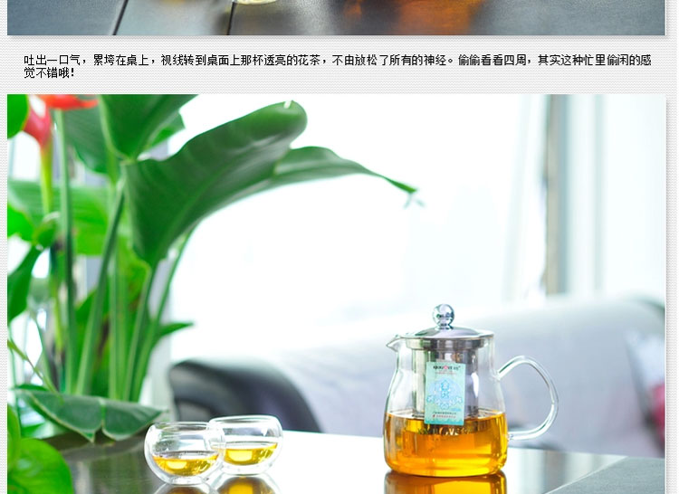 金灶A02自动茶水分离可拆洗内胆全过滤泡茶壶居家旅行办公便携耐高温玻璃飘逸杯茶道具