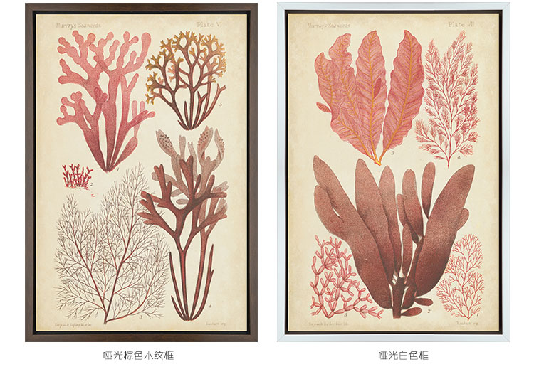 时黛 美式客厅装饰画有框 沙发背景墙画餐厅壁画玄关挂画卧室床头画 珊瑚海 SD088 6折 哑光棕色木纹A画芯75*105