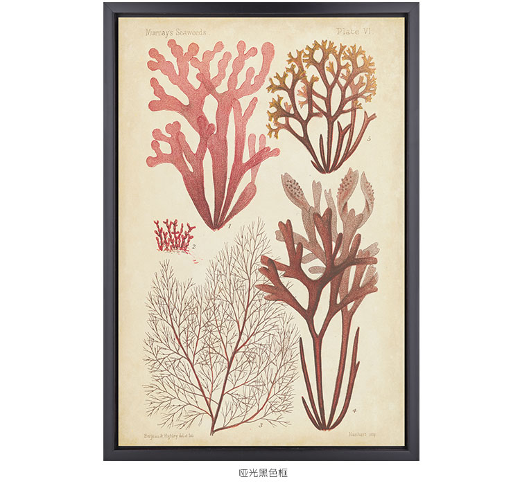 时黛 美式客厅装饰画有框 沙发背景墙画餐厅壁画玄关挂画卧室床头画 珊瑚海 SD088 6折 哑光棕色木纹A画芯75*105