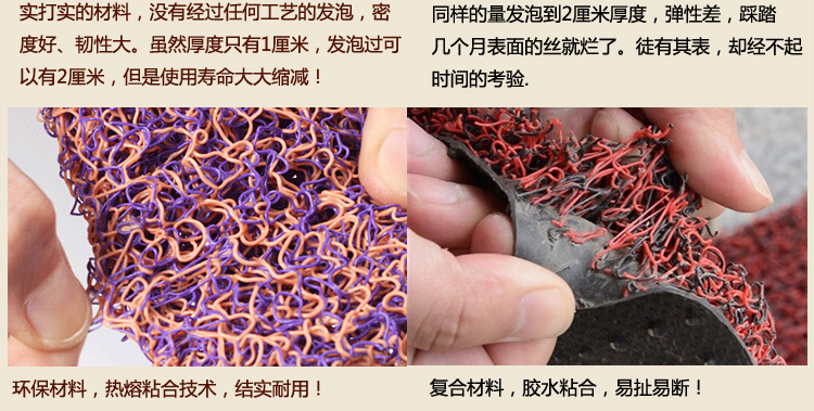 
                                        真彩 免洗可剪裁进门地垫塑料门垫入户进门垫家用丝圈防滑脚垫 玫红紫双色 40*60cm                