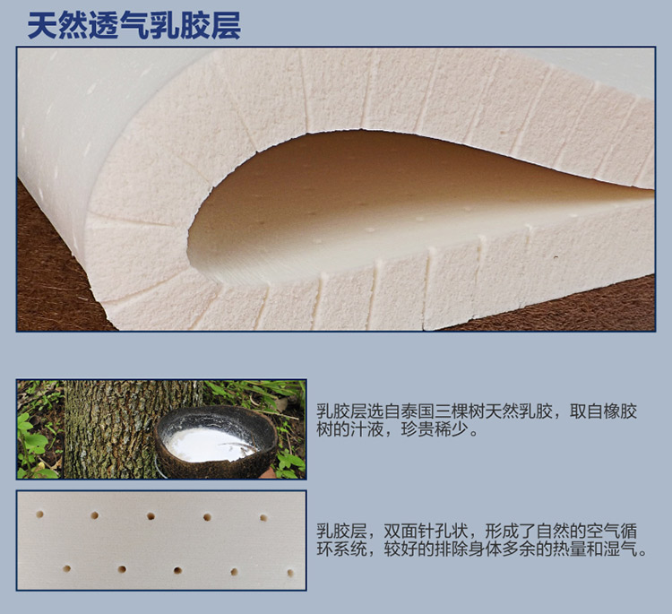 
                                        曲眠 椰棕乳胶床垫 进口斯里兰卡椰棕床垫 棕垫席梦思床垫  软硬可定做 6cm厚(含内外套) 190cm*150cm                