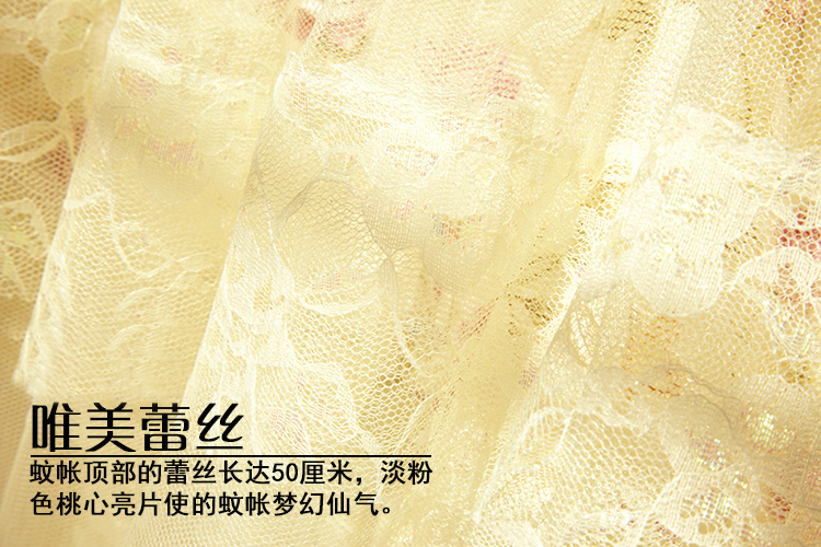 碧驰家纺 蚊帐 吊顶式蚊帐圆顶落地 公主蚊帐宫廷式蕾丝子母床加密加大 Y150紫