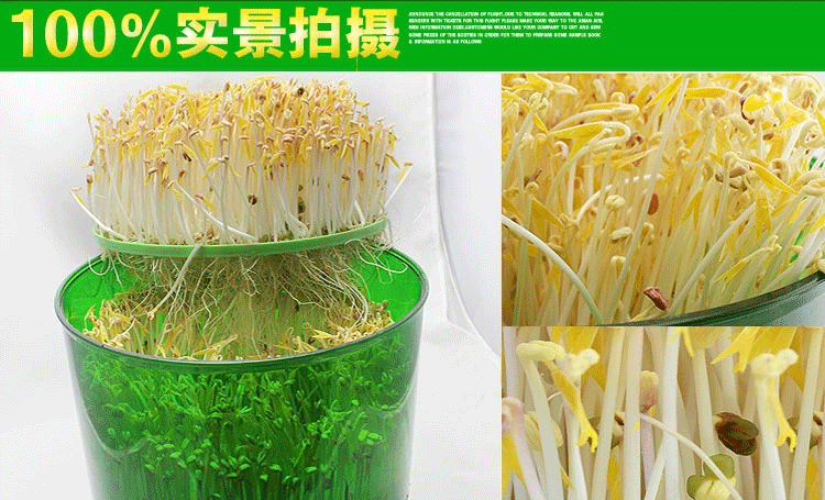1 微品多全自动四季家用智能双层豆芽机 多功能生豆芽机商用家用生日礼物 创意礼品送长辈
