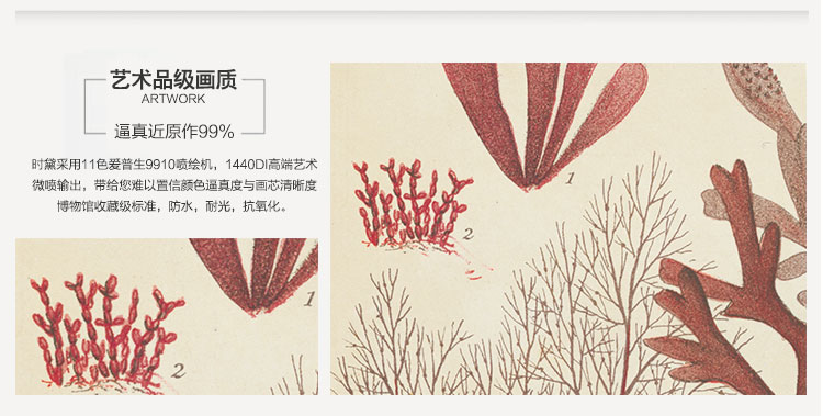 时黛 美式客厅装饰画有框 沙发背景墙画餐厅壁画玄关挂画卧室床头画 珊瑚海 SD088 6折 哑光棕色木纹A画芯75*105