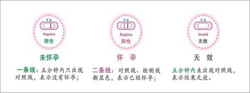 淑女验孕棒1盒*2图片