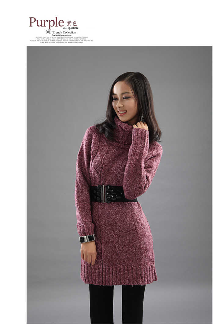 pastime2011秋冬新款 羊毛混纺加厚<em>高领</em>女式长
