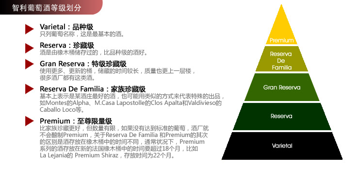 智利原装进口 干露酒厂红魔鬼卡本妮苏维翁红