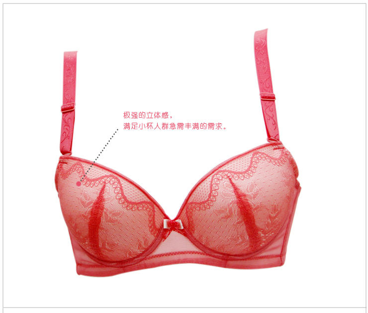 雅歌莉倾慕年轻时尚内衣 轻薄蕾丝<em>丰胸效果文</em>