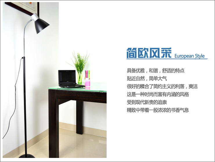 馨兴点灯 LED护眼落地灯F576-B雅仕黑 现代简约卧室客厅落地灯（配LED光源）