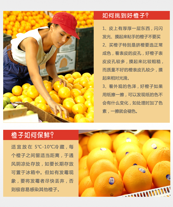 美国新奇士脐橙20个\/新鲜水果\/橙价格\/美国新奇