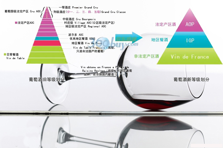法国原装进口红酒卡斯特CASTEL美露高级干红