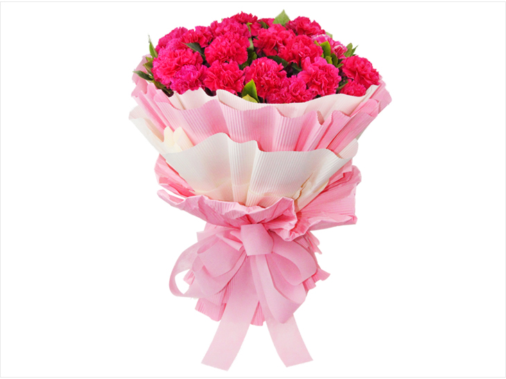 鲜花速递 维纳斯鲜花 教师节礼物送老师康乃馨