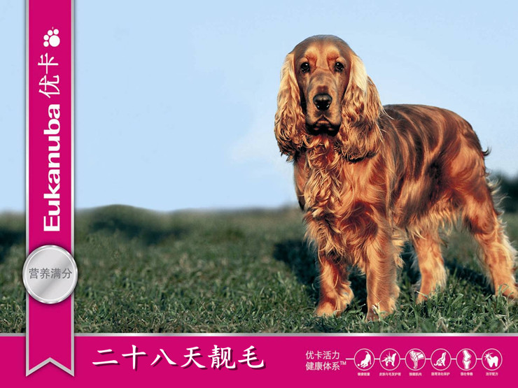 天然狗粮 原装进口 爱慕斯优卡 拉布拉多、金毛