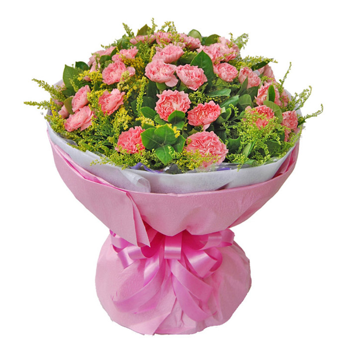 爱诺啦33朵康乃馨花 鲜花快递速递全国 母亲节