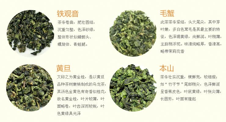 铁观音介绍