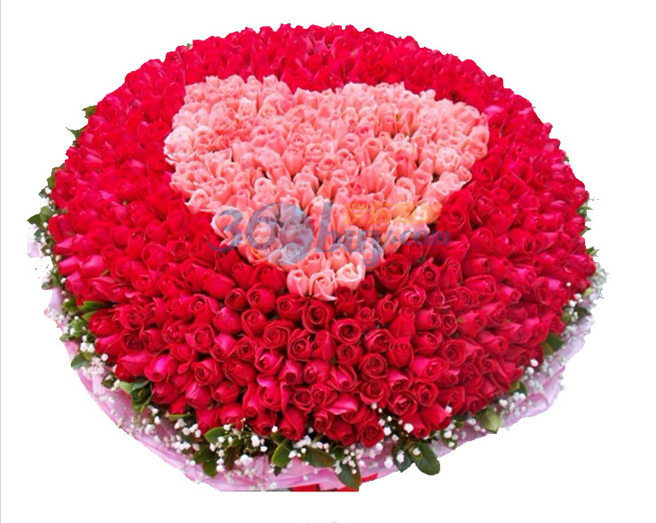 鲜花速递 999朵玫瑰花 赢佳人芳心 美满人生(提